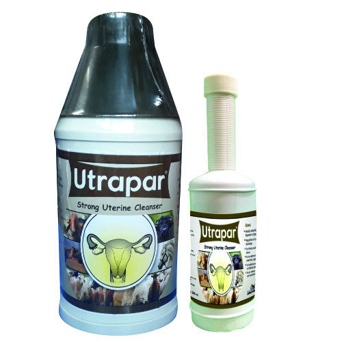 Utrapar