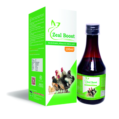 Zeal Boost