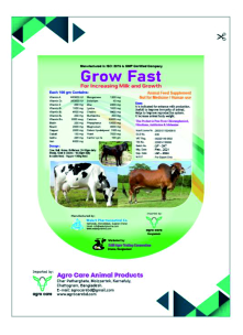 Grow Fast