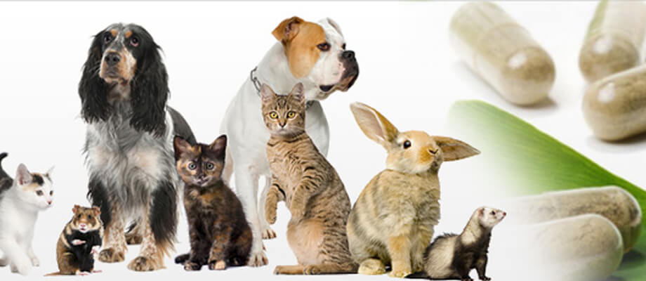Veterinery products